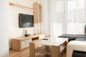 Nice flat in city